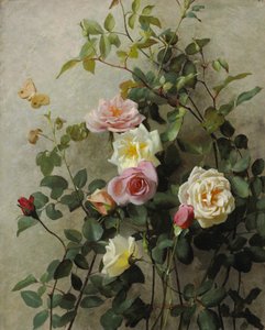 Rosen an einer Wand, 1877