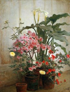 Seite eines Gewächshauses, 1870-80