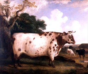 Ein Shorthorn-Bulle in einer Landschaft von George Cole