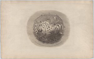 Die ganze Welt geht zur Großen Ausstellung von 1851