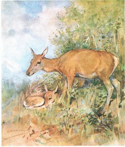 Sie hatte immer ein gemütliches Bett für ihn im Gras oder Farn bereit von George Denholm Armour
