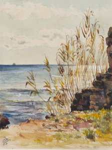 In San Remo mit Blick auf das Mittelmeer, 10. Januar 1878