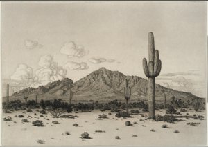 Camelback Mountain, Phoenix von George Elbert Burr
