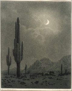  von George Elbert Burr