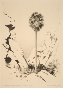 Palm Canyon (Nr. 1) von George Elbert Burr