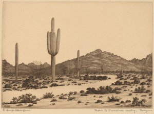 Straße zum Paradies-Tal, Arizona