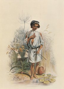 Charley, ein Mischlingsjunge in Natal von George French Angas