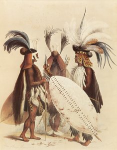 Die Zulu-Armee von George French Angas
