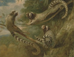 Ein Marmoset in drei Haltungen von George Garrard