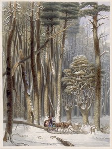 Winter, Behinderte Reisende in einem Kiefernwald, aus Harveys Scenes of the Primitive Forest of America, 1841 von George Harvey