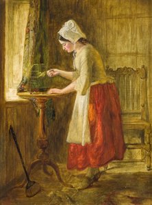 Vogel füttern von George Hay