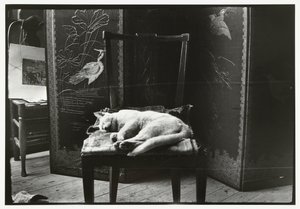 Katze auf einem Stuhl im Atelier von Breitner in Amsterdam von George Hendrik Breitner