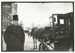 Pferde mit Kutsche auf dem Leidseplein in Amsterdam