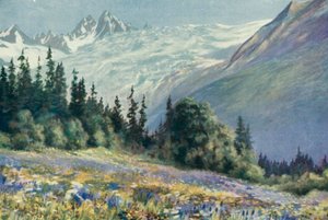Glockenblume und andere Juli-Blumen am Col Des Montets von George Jackson Flemwell
