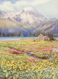 Die oberen Felder von Champex Anfang Juni, mit dem Grand Combin in der Ferne von George Jackson Flemwell