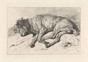 Schlafender Hund von George Jooss