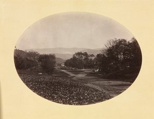 Eine Straße in Williamstown von George Kendall Warren