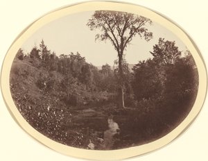 Landschaft in der Nähe des Williams College