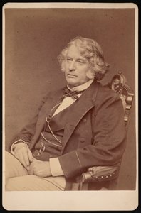 Porträt von Charles Sumner 1811-1874