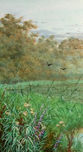 Sommer von George Marks