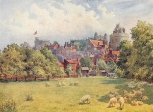 Das Schloss von den Feldern aus