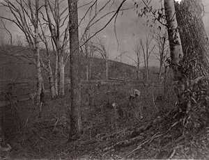 Bull Run, Virginia