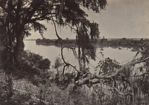 Savannah River, in der Nähe von Savannah, Georgia, 1860er Jahre von George N. Barnard