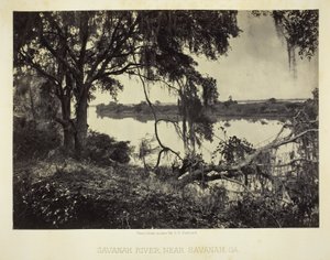Savannah River, nahe Savannah, GA