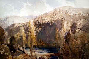 Ein Fluss, der durch eine felsige Schlucht fließt