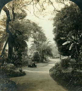 Weg im Queens Park, Brisbane, Australien, ca. 1909 von George Rose