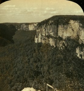 Das Grose-Tal, Blue Mountains, N.S.W., Australien, 1909