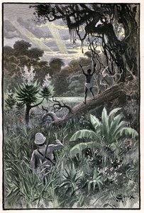 Illustration von George Roux für Jules Vernes Buch „Das Luftdorf“ (1901), Hetzel-Ausgabe/Extraordinary Voyages, Bekannte und Unbekannte Welten. Blick auf einen afrikanischen Wald (Kongo) von George Roux