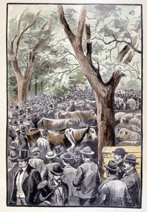 Die Menge drängte sich bereits am Ort des Wettbewerbs (Seite 259) in „Testament eines Exzentrikers“ von Jules Verne