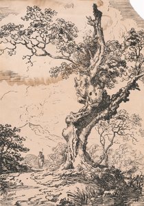 Mann und großer Baum in Landschaft