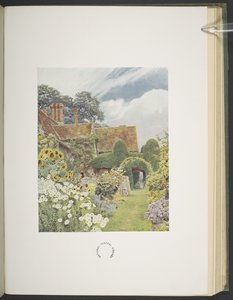 Cleeve Prior, Sonnenblumen, Illustration in 