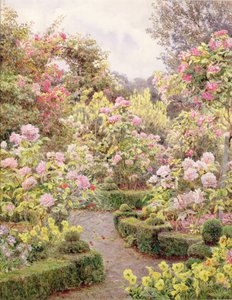 Raundscliffe - Überall sind Rosen von George Samuel Elgood