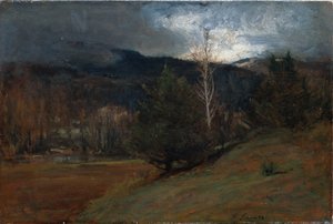 November in den Adirondacks, ca. 1885