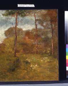 Orange Road, Tarpon Springs von George Snr. Inness