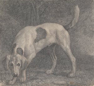 Ein Fuchshund auf der Fährte von George Stubbs