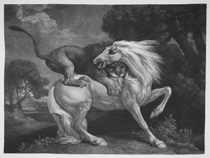 Ein von einem Löwen angegriffenes Pferd von George Stubbs