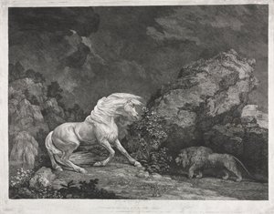 Ein von einem Löwen erschrecktes Pferd, 1777 von George Stubbs