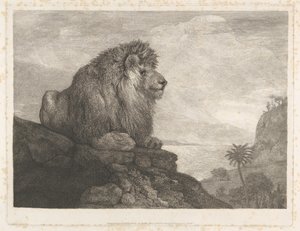 Ein Löwe (Ein auf einem Felsen ruhender Löwe) von George Stubbs