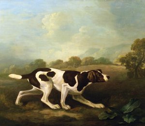 Ein Vorstehhund von George Stubbs