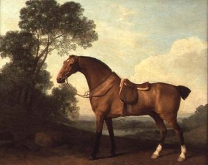 Ein gesattelter brauner Jäger in einer Landschaft mit einem See im Hintergrund von George Stubbs