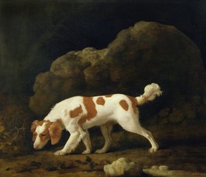 Ein Spaniel von George Stubbs