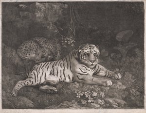 Ein Tiger und ein schlafender Leopard von George Stubbs