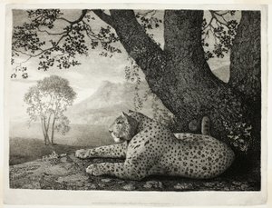 Ein Tiger (Ein liegender Leopard bei einem Baum) von George Stubbs
