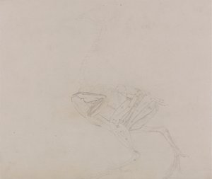 Dorking-Hühnerkörper, Seitenansicht (Studie der Muskeln des Körpers und der Gliedmaßen in einem späteren Stadium der Dissektion) von George Stubbs