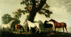 Fünf Zuchtstuten auf der Gestütsfarm des Herzogs von Cumberland im Windsor Great Park, 1765, 1944 von George Stubbs