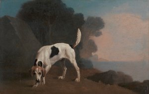 Fuchshund von George Stubbs